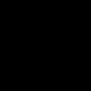 Meet your Posher, Corbin